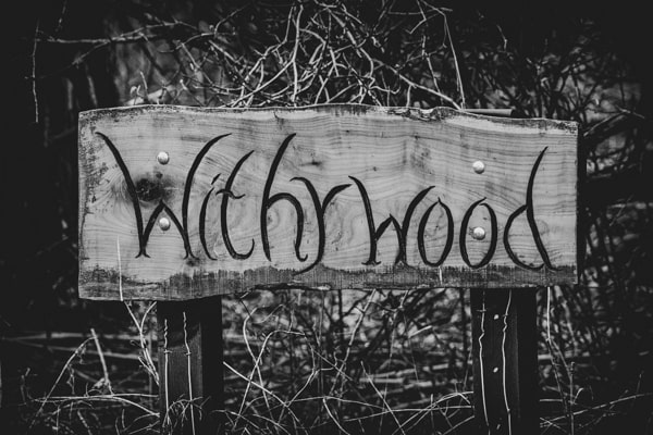 Withy Wood